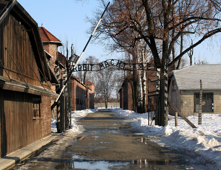 Auschwitz story